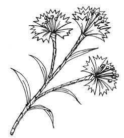 Иллюстрация к книге — Поделки из бумаги, игрушки, сувениры и подарки [i_074.jpg]