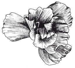 Иллюстрация к книге — Поделки из бумаги, игрушки, сувениры и подарки [i_076.jpg]