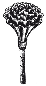 Иллюстрация к книге — Поделки из бумаги, игрушки, сувениры и подарки [i_078.jpg]