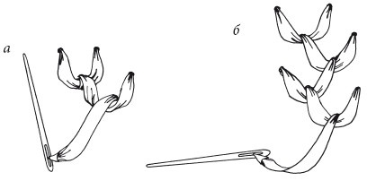 Иллюстрация к книге — Вышивка шелковыми лентами [i_009.jpg]