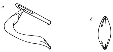 Иллюстрация к книге — Вышивка шелковыми лентами [i_012.jpg]