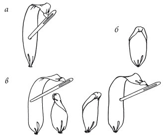 Иллюстрация к книге — Вышивка шелковыми лентами [i_013.jpg]