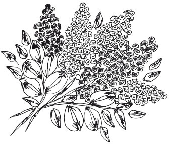 Иллюстрация к книге — Вышивка шелковыми лентами [i_069.jpg]