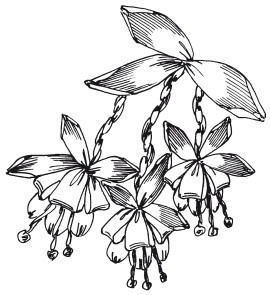 Иллюстрация к книге — Вышивка шелковыми лентами [i_076.jpg]