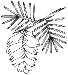 Иллюстрация к книге — Вышивка шелковыми лентами [i_079.jpg]