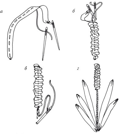 Иллюстрация к книге — Вышивка шелковыми лентами [i_082.jpg]