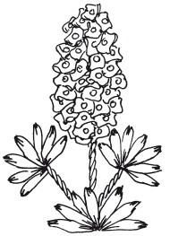 Иллюстрация к книге — Вышивка шелковыми лентами [i_110.jpg]