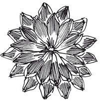 Иллюстрация к книге — Вышивка шелковыми лентами [i_129.jpg]