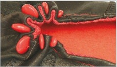 Иллюстрация к книге — Тапочки ручной работы: новые модели для взрослых и детей [i_046.jpg]