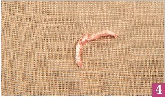 Иллюстрация к книге — Вышивка ленточками: мастер-класс для начинающих мастериц [i_050.jpg]