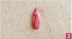 Иллюстрация к книге — Вышивка ленточками: мастер-класс для начинающих мастериц [i_189.jpg]