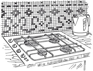 Иллюстрация к книге — Стильная одежда для ваших стен. Отделка и декор вашего дома [i_104.jpg]