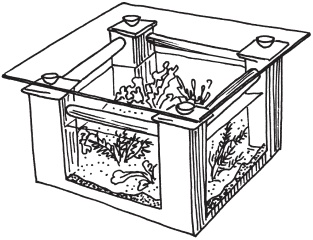 Иллюстрация к книге — Интересные идеи для вашего дома. Украшение интерьера своими руками [i_011.jpg]