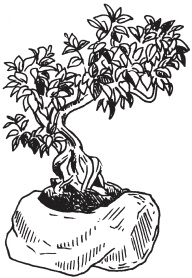 Иллюстрация к книге — Интересные идеи для вашего дома. Украшение интерьера своими руками [i_033.jpg]