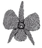 Иллюстрация к книге — Бисер. Украшения на любой вкус [i_117.jpg]