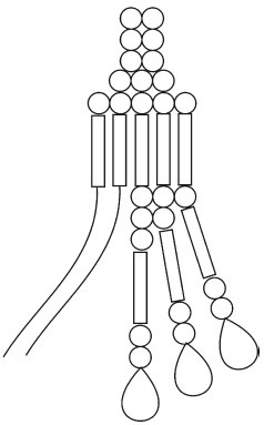 Иллюстрация к книге — Бисер. Украшения на любой вкус [i_178.jpg]