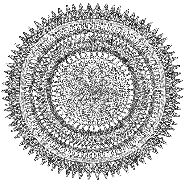 Иллюстрация к книге — Техника вязания крючком [i_059.jpg]