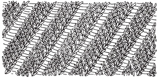 Иллюстрация к книге — Новейшая энциклопедия вязания на спицах и крючком [pic_24.jpg]