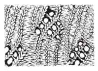 Иллюстрация к книге — Вяжем с узорами для всей семьи [pic_140.jpg]