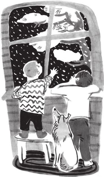 Иллюстрация к книге — Кругосарайное путешествие: рассказы [_5335.jpg]