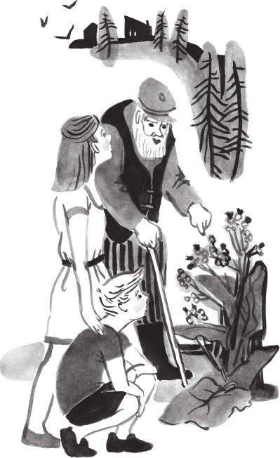 Иллюстрация к книге — Кругосарайное путешествие: рассказы [_5343.jpg]