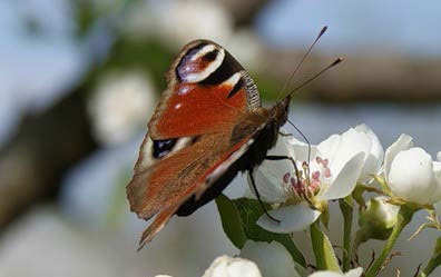 Иллюстрация к книге — Новый век начался с понедельника [i_004.jpg]