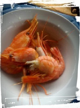 Иллюстрация к книге — Шоу для самого себя – 2 [i_018.jpg]