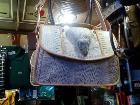 Иллюстрация к книге — Шоу для самого себя – 2 [i_037.jpg]