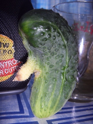 Иллюстрация к книге — Год Быка [i_017.jpg]