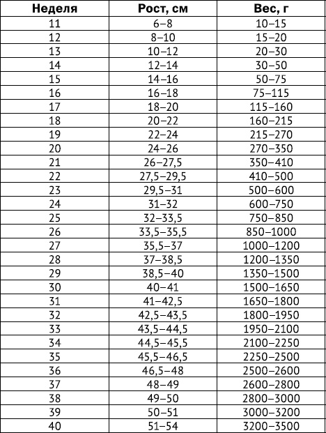 Иллюстрация к книге — #Беременность. Короткометражка длиной в 9 месяцев [_10.jpg]