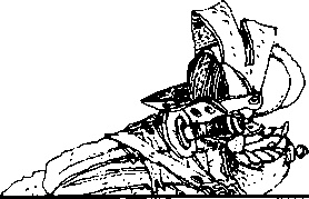 Иллюстрация к книге — Абрафаксы под черным флагом [i_009.jpg]