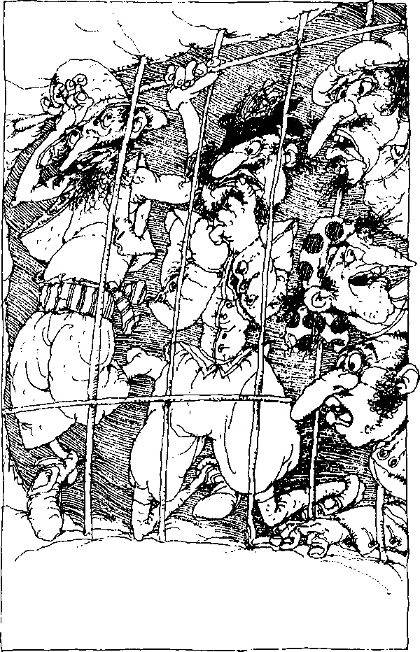 Иллюстрация к книге — Абрафаксы под черным флагом [i_051.jpg]