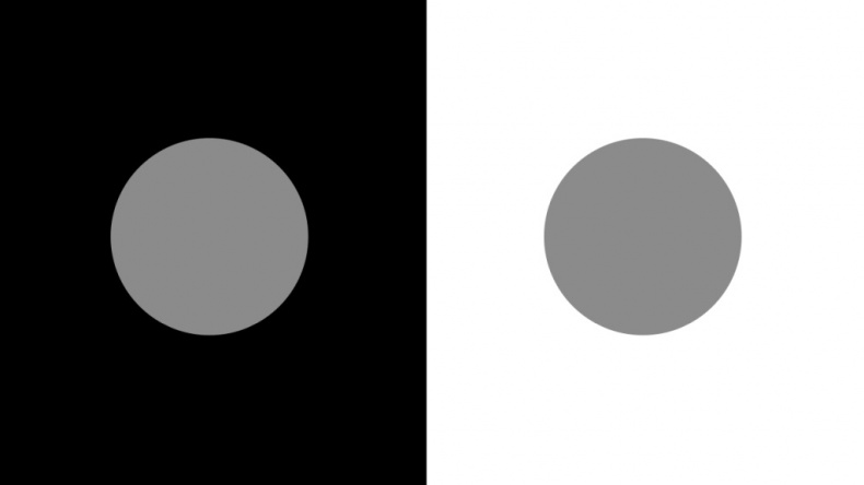 Иллюстрация к книге — Кто за главного? Свобода воли с точки зрения нейробиологии [i_003.jpg]