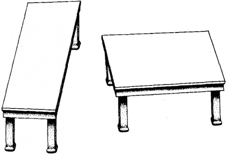 Иллюстрация к книге — Кто за главного? Свобода воли с точки зрения нейробиологии [i_004.jpg]