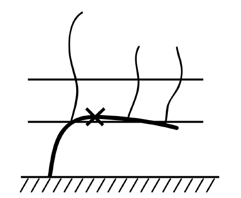 Иллюстрация к книге — Секреты выращивания винограда в любом климате. Проверенные способы формировки винограда [i_016.jpg]