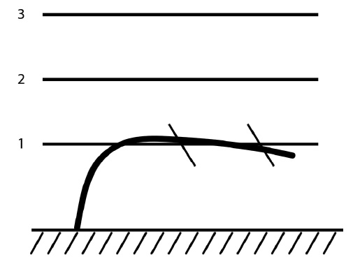 Иллюстрация к книге — Секреты выращивания винограда в любом климате. Проверенные способы формировки винограда [i_019.jpg]