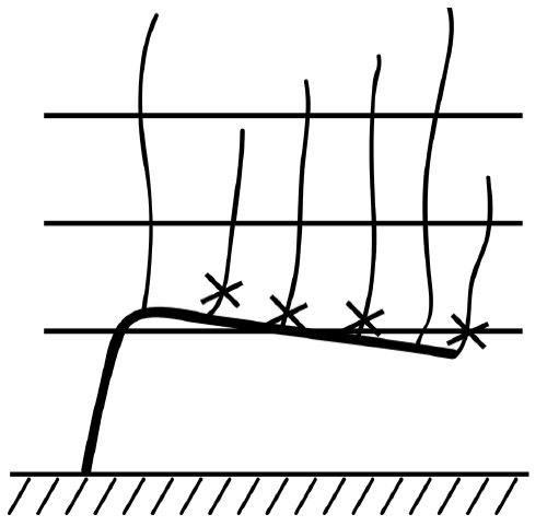 Иллюстрация к книге — Секреты выращивания винограда в любом климате. Проверенные способы формировки винограда [i_020.jpg]