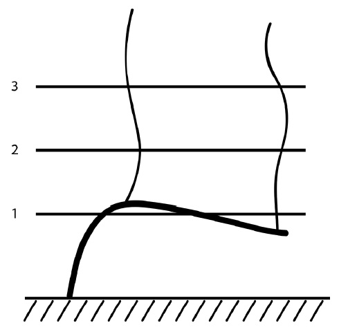 Иллюстрация к книге — Секреты выращивания винограда в любом климате. Проверенные способы формировки винограда [i_021.jpg]