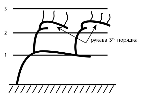 Иллюстрация к книге — Секреты выращивания винограда в любом климате. Проверенные способы формировки винограда [i_026.jpg]
