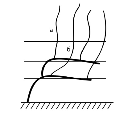 Иллюстрация к книге — Секреты выращивания винограда в любом климате. Проверенные способы формировки винограда [i_029.jpg]