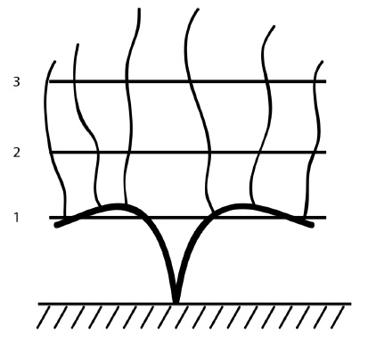 Иллюстрация к книге — Секреты выращивания винограда в любом климате. Проверенные способы формировки винограда [i_031.jpg]