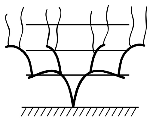 Иллюстрация к книге — Секреты выращивания винограда в любом климате. Проверенные способы формировки винограда [i_037.jpg]