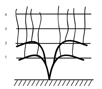 Иллюстрация к книге — Секреты выращивания винограда в любом климате. Проверенные способы формировки винограда [i_038.jpg]