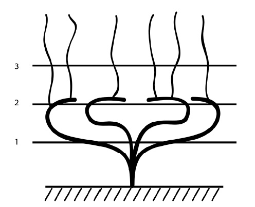 Иллюстрация к книге — Секреты выращивания винограда в любом климате. Проверенные способы формировки винограда [i_044.jpg]
