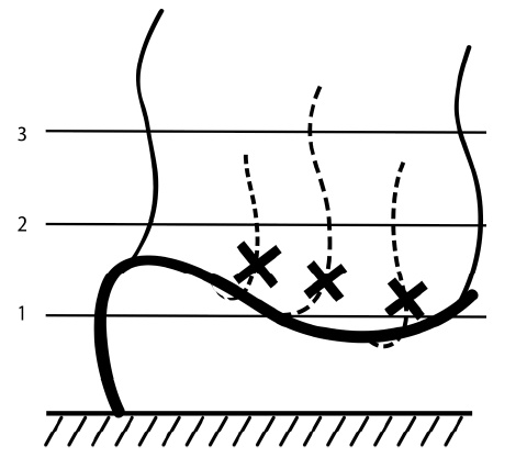 Иллюстрация к книге — Секреты выращивания винограда в любом климате. Проверенные способы формировки винограда [i_060.jpg]