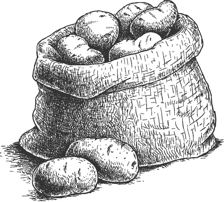 Иллюстрация к книге — Грядка для отличного урожая. Картофель без химии и хлопот, на любой почве [i_001.jpg]