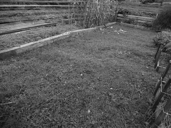 Иллюстрация к книге — Грядка для отличного урожая. Картофель без химии и хлопот, на любой почве [i_021.jpg]