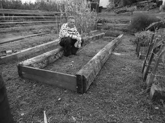 Иллюстрация к книге — Грядка для отличного урожая. Картофель без химии и хлопот, на любой почве [i_023.jpg]