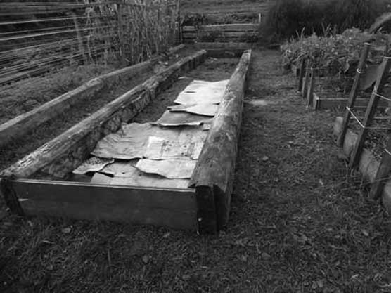 Иллюстрация к книге — Грядка для отличного урожая. Картофель без химии и хлопот, на любой почве [i_024.jpg]