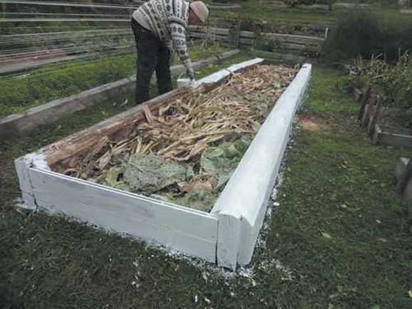 Иллюстрация к книге — Грядка для отличного урожая. Картофель без химии и хлопот, на любой почве [i_071.jpg]